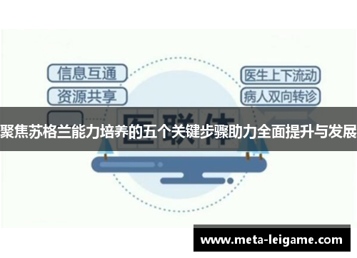 聚焦苏格兰能力培养的五个关键步骤助力全面提升与发展