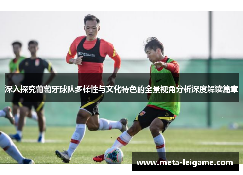 深入探究葡萄牙球队多样性与文化特色的全景视角分析深度解读篇章