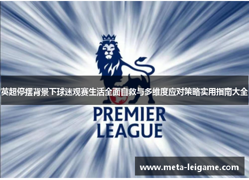 英超停摆背景下球迷观赛生活全面自救与多维度应对策略实用指南大全